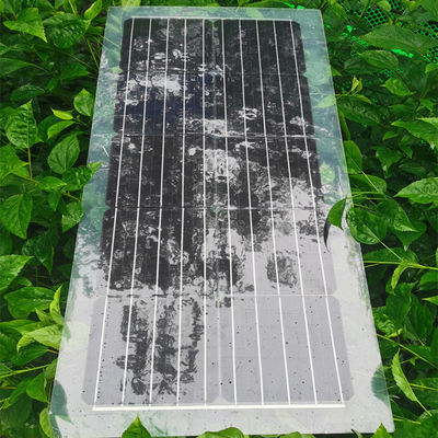 Harga yang bagus 30W 40W 50W 60W 80W Panel Surya PET Semi Transparan Panel Surya 1000V on line
